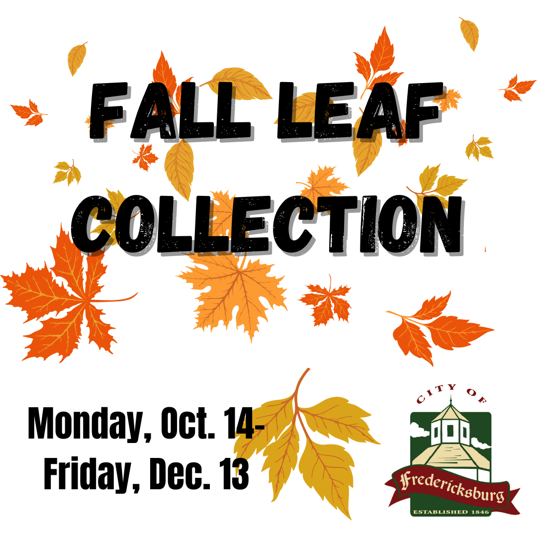 Fall Leaf Collection