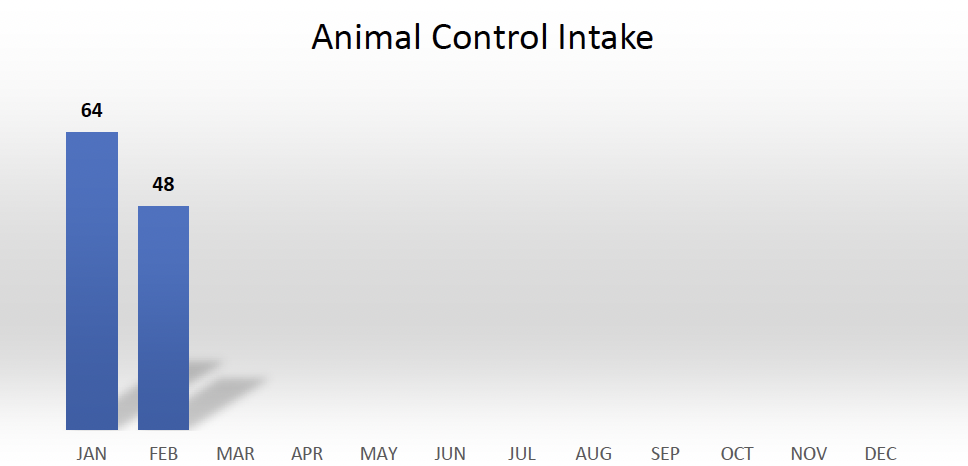 Animal Control Intake- Feb. 2026
